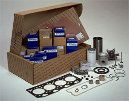 Perkins overhaul kit